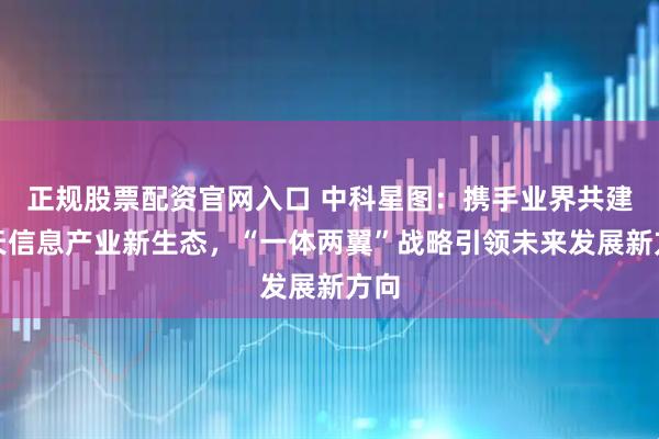 正规股票配资官网入口 中科星图：携手业界共建空天信息产业新生态，“一体两翼”战略引领未来发展新方向