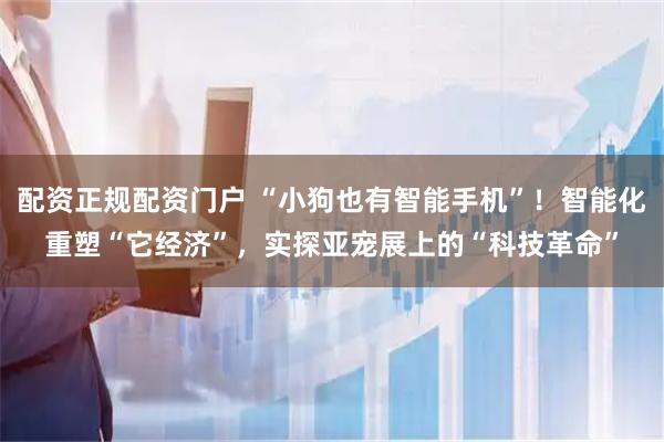配资正规配资门户 “小狗也有智能手机”！智能化重塑“它经济”，实探亚宠展上的“科技革命”